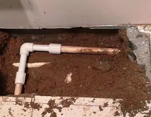 常州市测漏水哪家好