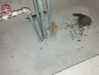 常州市卫生间测漏水价格明细