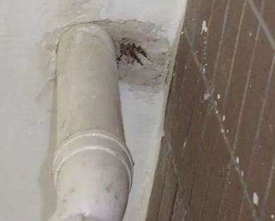 常州市漏水检测哪家好